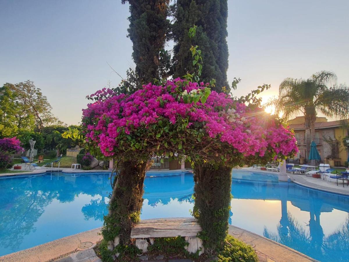 グラン ホテル アシエンダ デ ラ ノリア アグアスカリエンテス エクステリア 写真 Bougainvillea at the pool